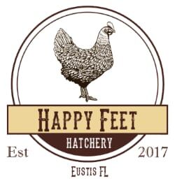Pheasants  Townline Hatchery